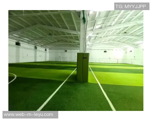 室内足球草坪的选择与维护技巧助你提升比赛体验与场地使用寿命